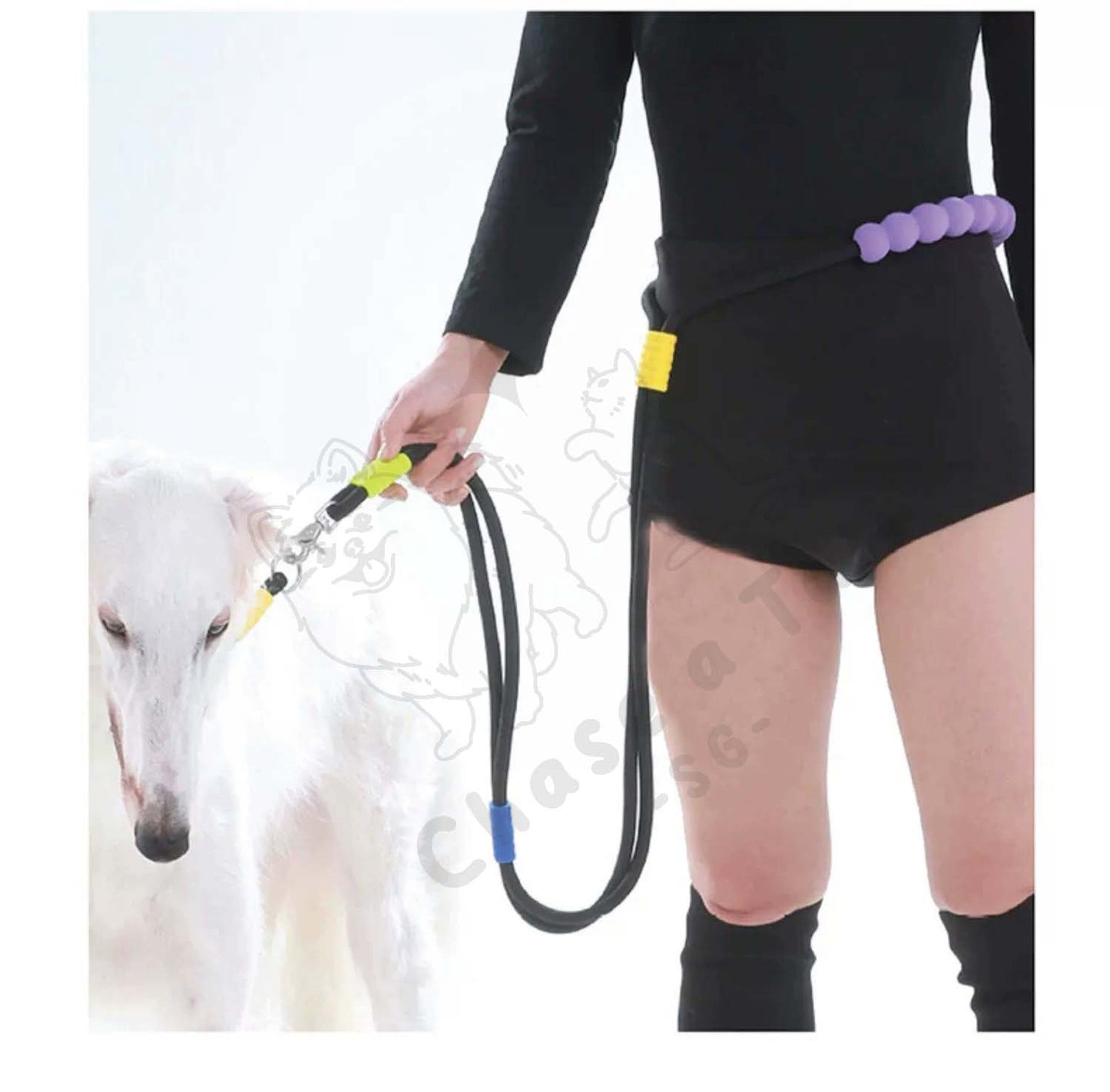 Foam Handle Traction Pet Collar and Leash