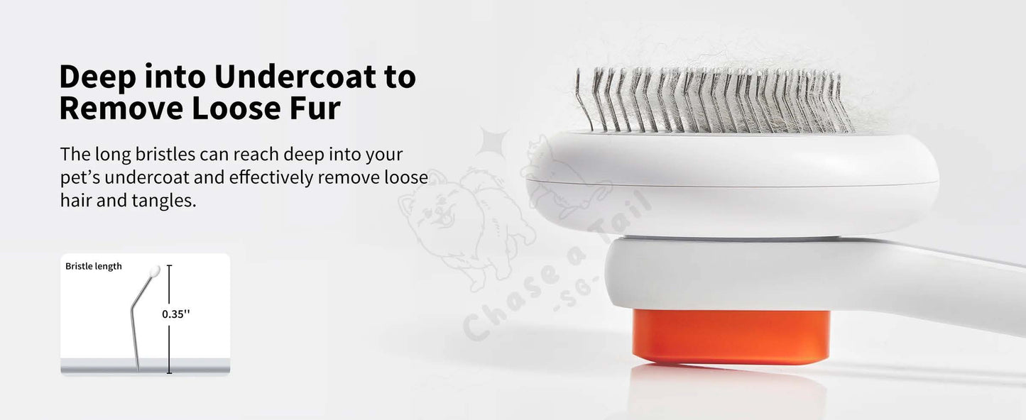 Pet Kit Large Pet Grooming Detangle Brush