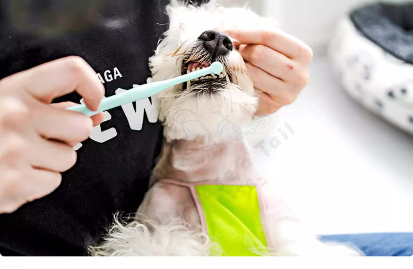 Pononon Nano Bristle Toothbrush for Pets