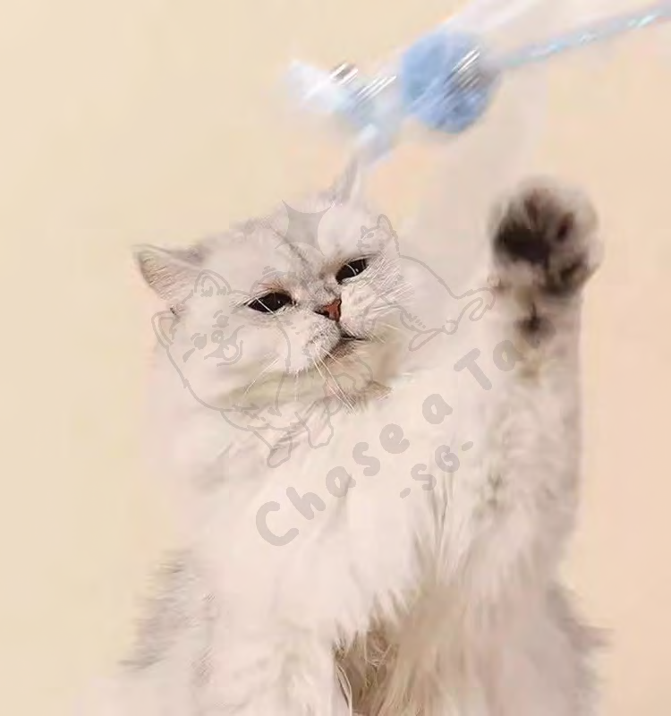 Whimsical Fairyland Cat Teasers Toy