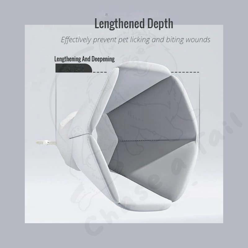 Popocola Comfort Pet Recovery E-Collar for dogs & cats