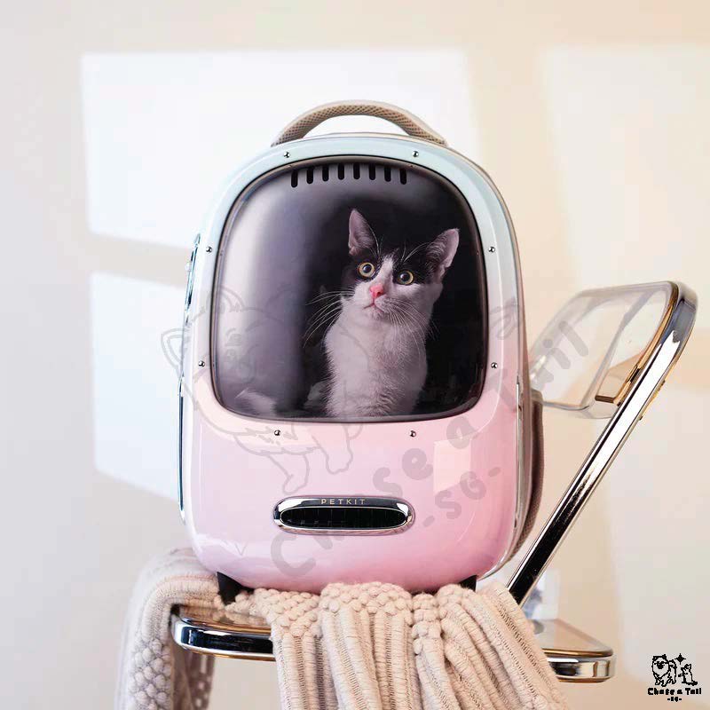 Pet Kit Breezy Dome 2 Cat Backpack