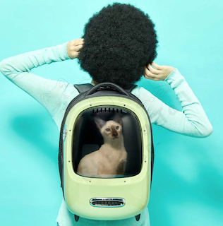 Pet Kit Breezy Dome 2 Cat Backpack