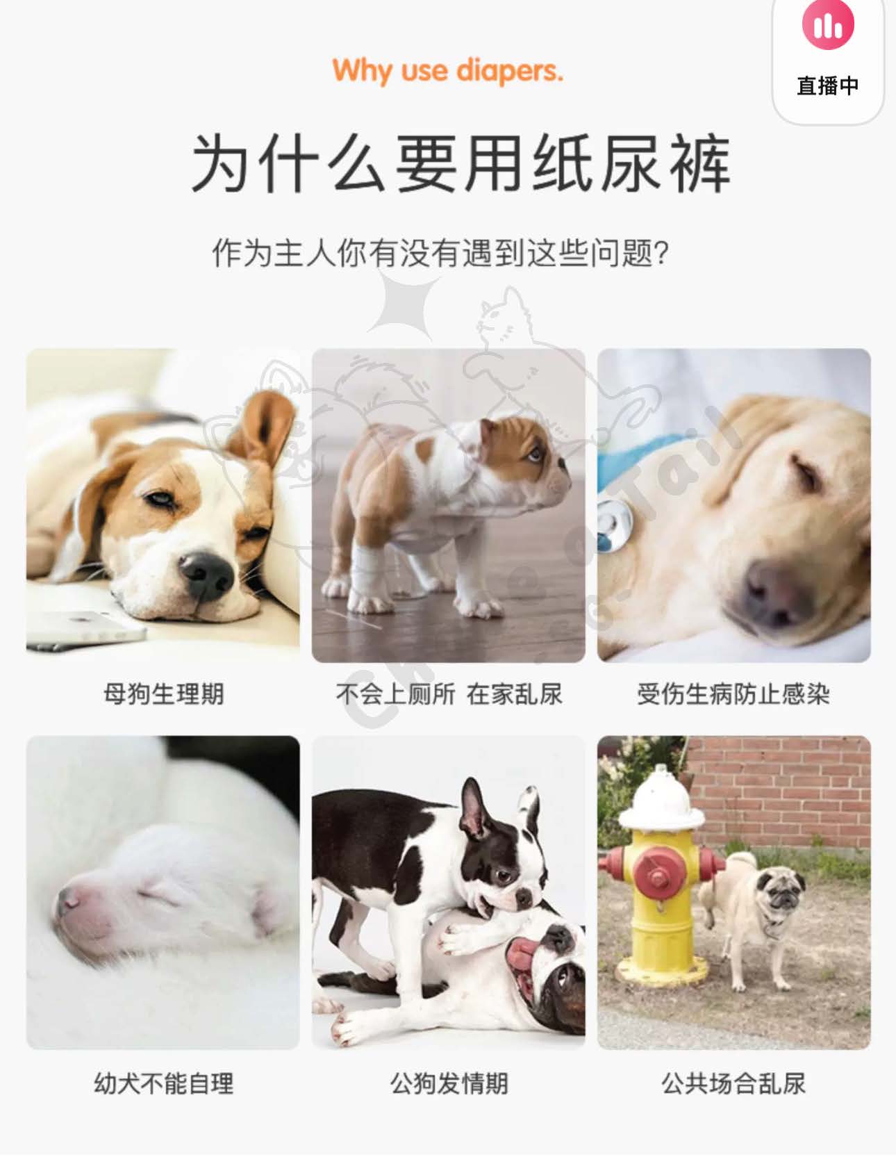 DONO Dog Diaper
