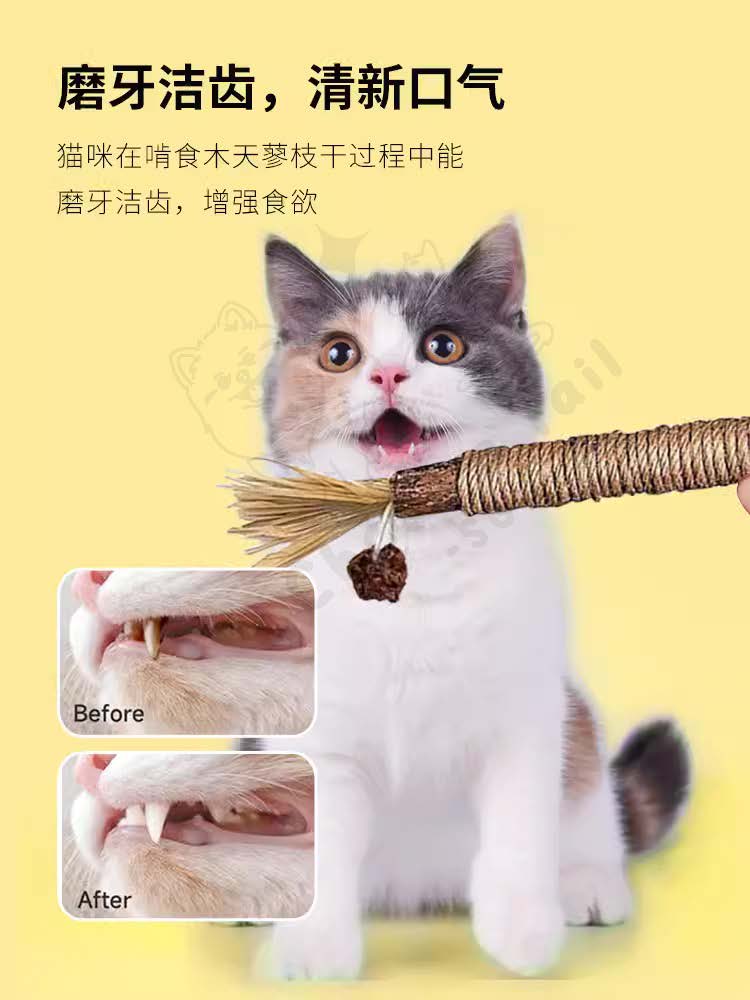 Engaging & Interactive Cat / kitten Crinkle Ball Toy