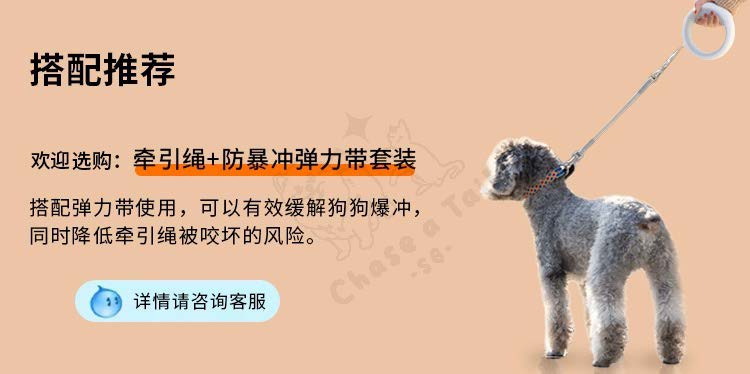 UFO 2.0 Retractable Leash