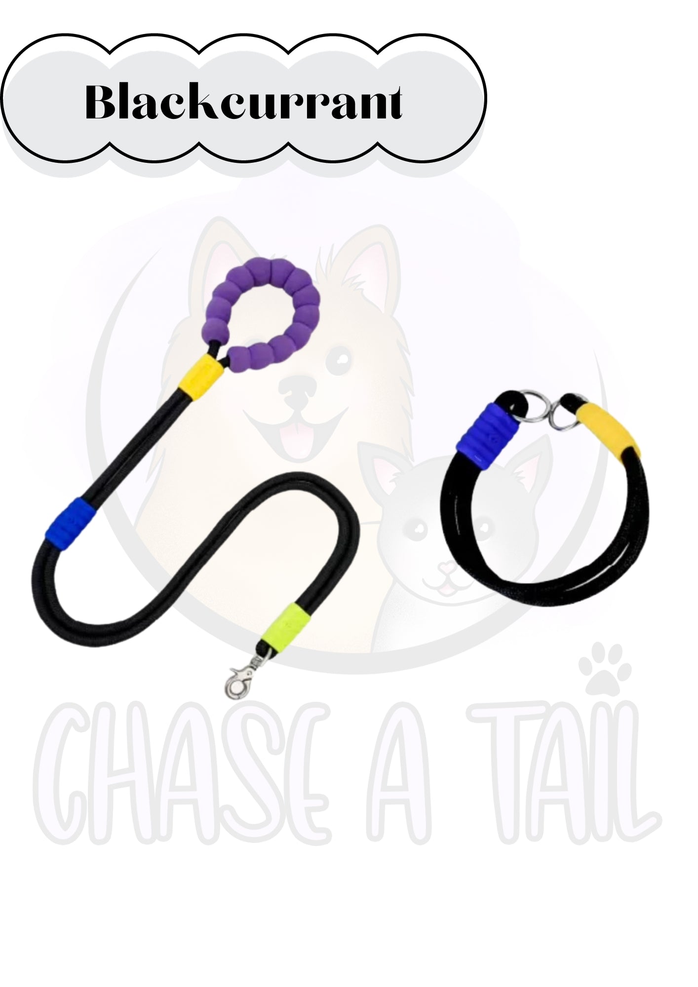 Foam Handle Traction Pet Collar and Leash