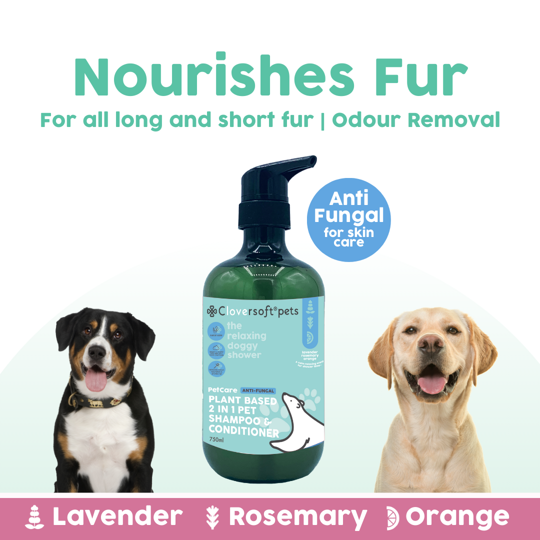 Cloversoft Pets 2-in-1 Plant-Based Shampoo & Conditioner (750ml, Anti-Fungal)
