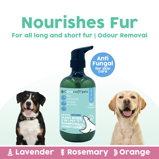 Cloversoft Pets 2-in-1 Plant-Based Shampoo & Conditioner (750ml, Anti-Fungal)