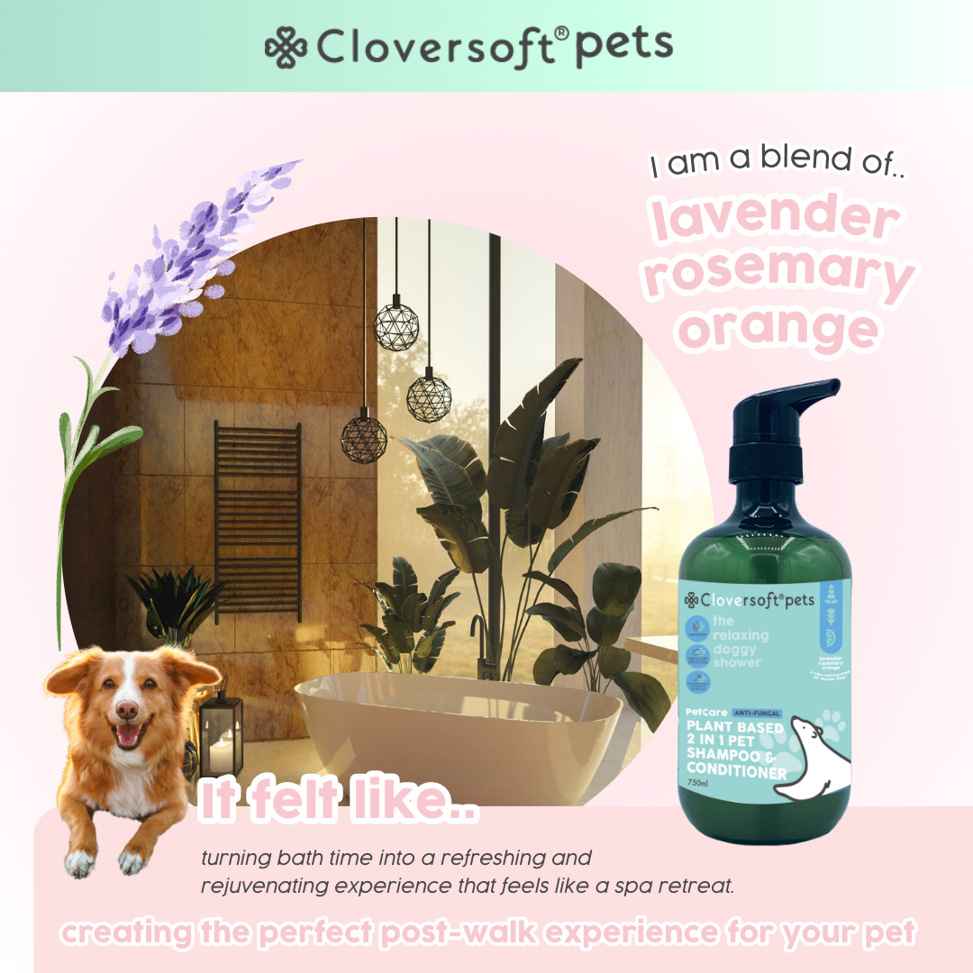 Cloversoft Pets 2-in-1 Plant-Based Shampoo & Conditioner (750ml, Anti-Fungal)