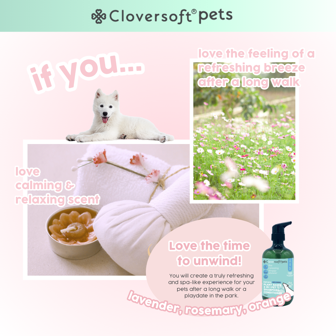 Cloversoft Pets 2-in-1 Plant-Based Shampoo & Conditioner (750ml, Anti-Fungal)