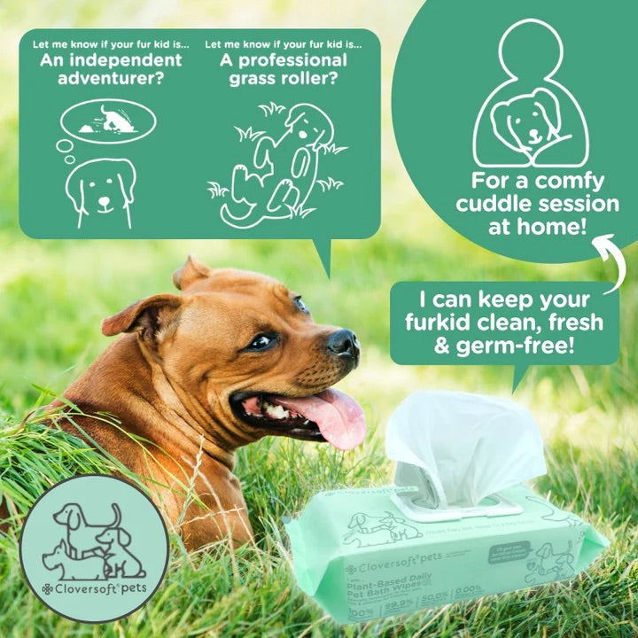 Cloversoft Pets Plant-Based Daily Pet Bath Wipes (70 Sheets)