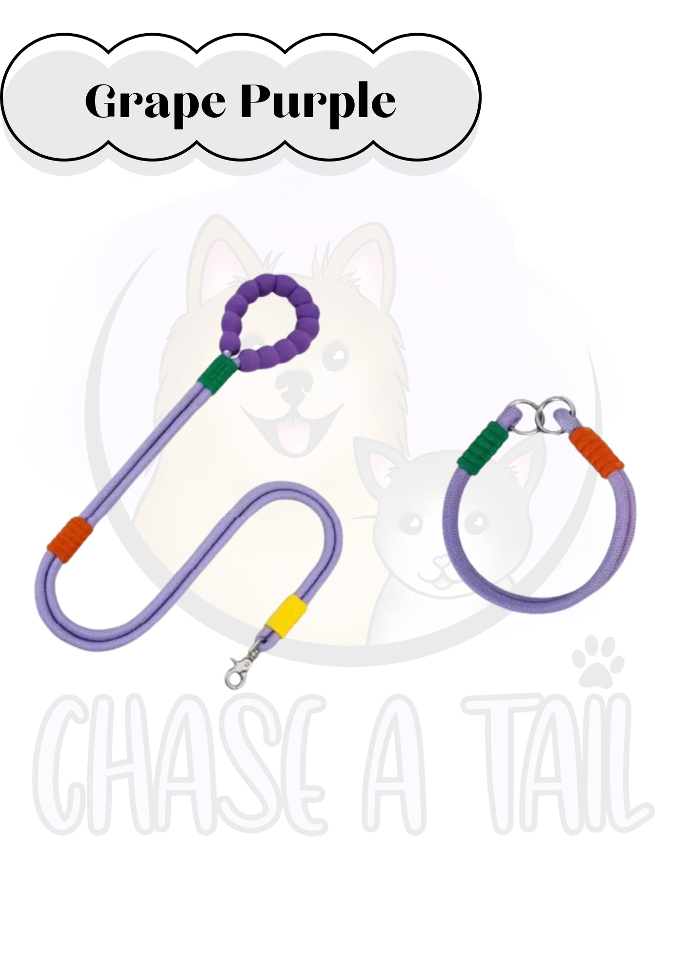 Foam Handle Traction Pet Collar and Leash