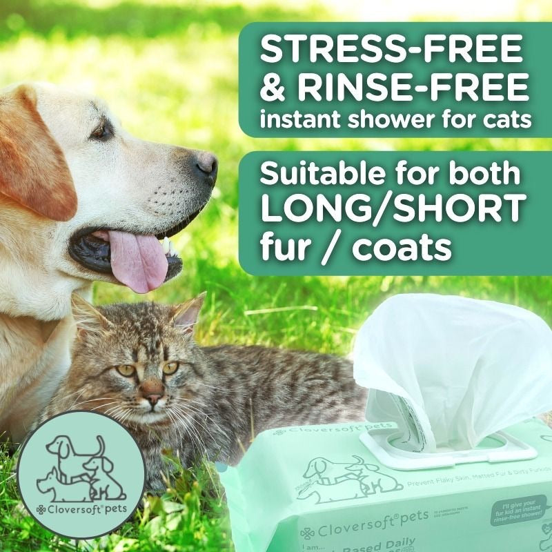 Cloversoft Pets Plant-Based Daily Pet Bath Wipes (70 Sheets)