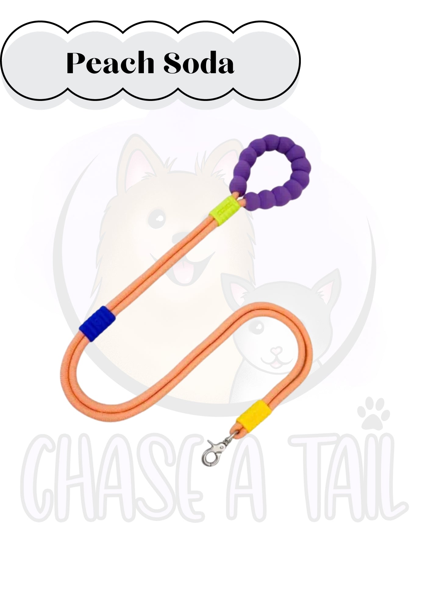 Foam Handle Traction Pet Collar and Leash
