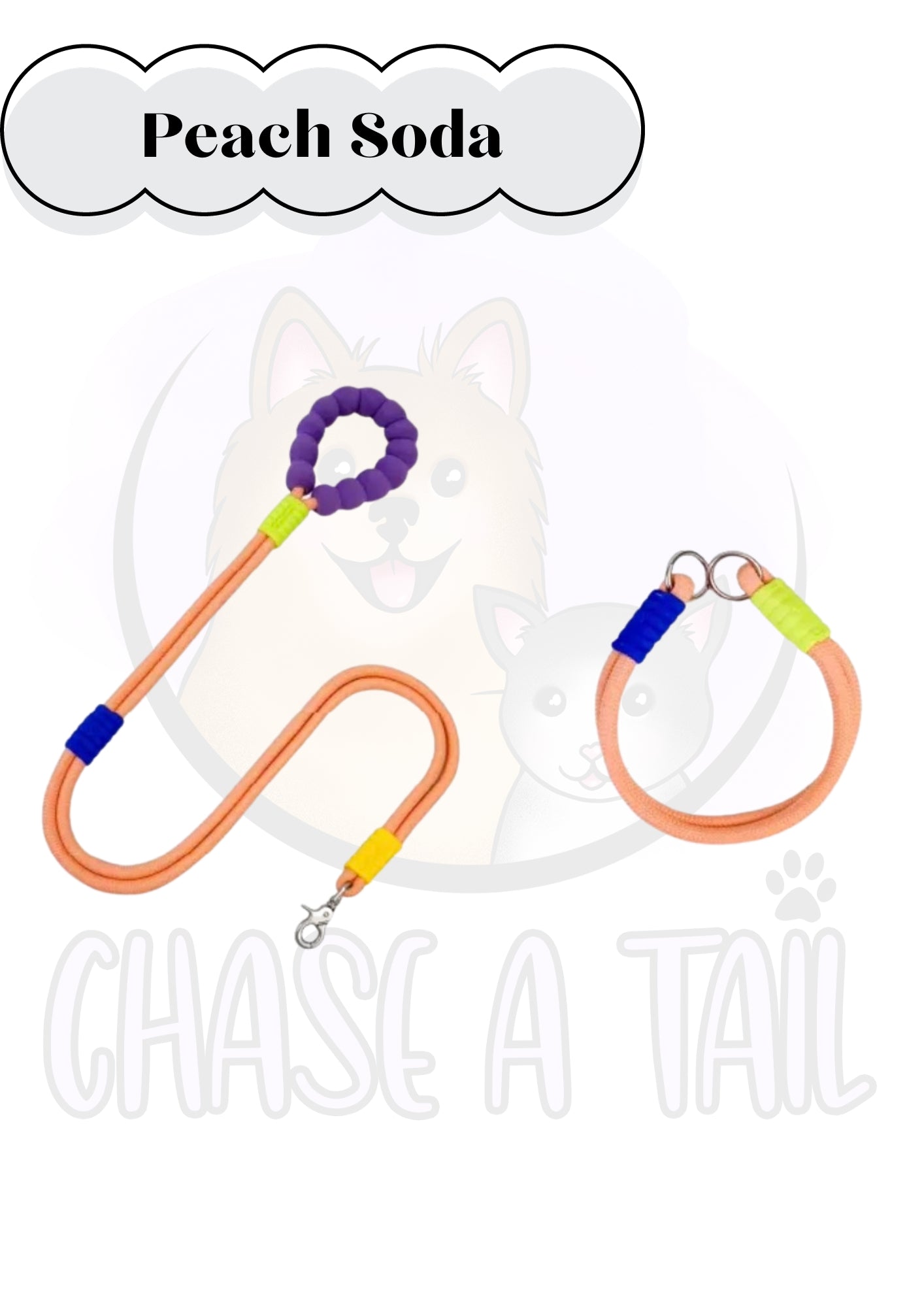 Foam Handle Traction Pet Collar and Leash