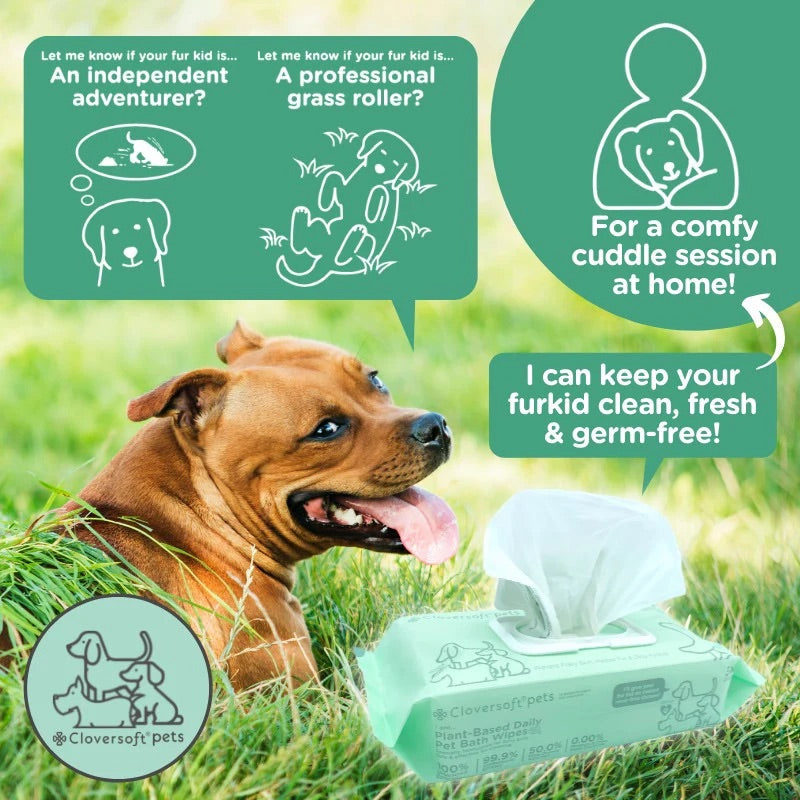 Cloversoft Pets Plant-Based Daily Pet Bath Wipes (70 Sheets)