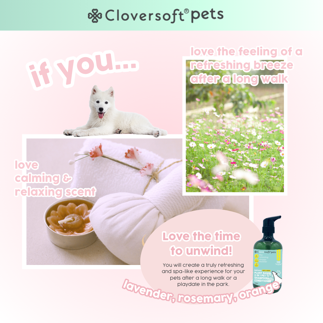 Cloversoft Pets 2-in-1 Plant-Based Shampoo & Conditioner (750ml, Soft & Shiny)