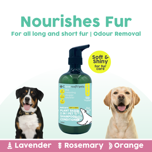 Cloversoft Pets 2-in-1 Plant-Based Shampoo & Conditioner (750ml, Soft & Shiny)
