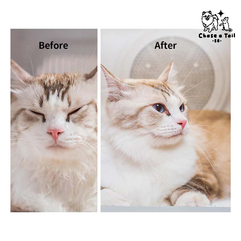 PET KIT Airsalon Max Pro Cats & Dogs' Dryer