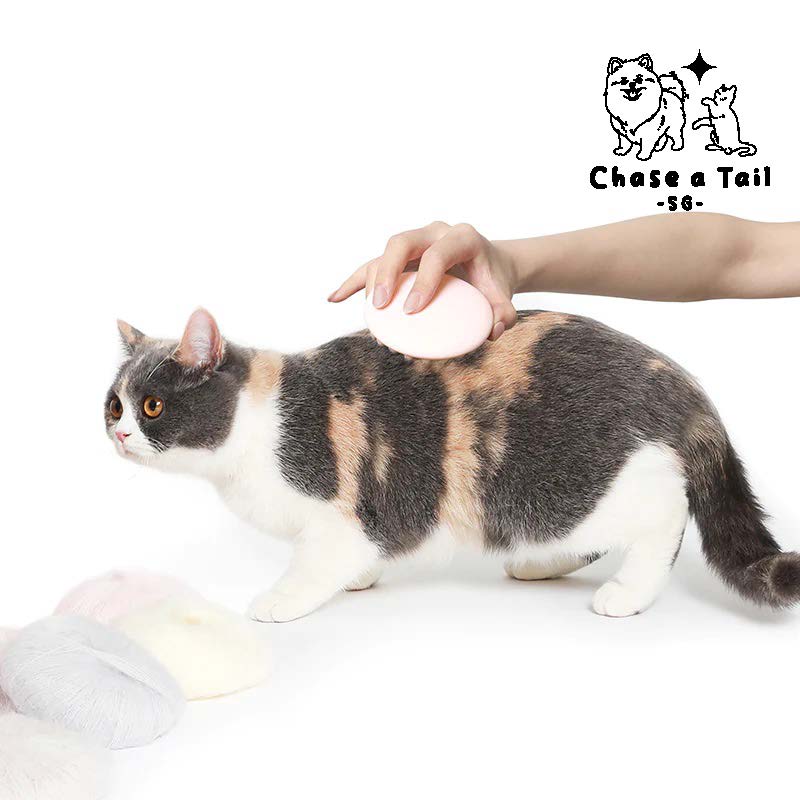 Pet Kit Groom & Glow Pet Massage Comb