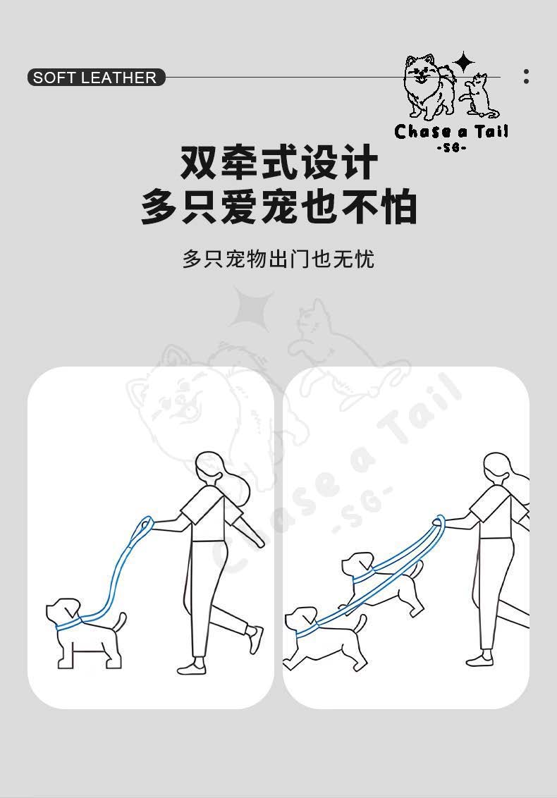 Leather Cat Harness With Leash