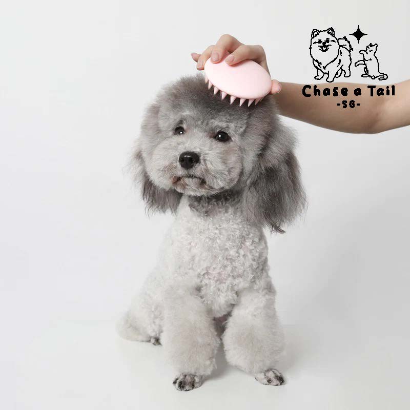 Pet Kit Groom & Glow Pet Massage Comb