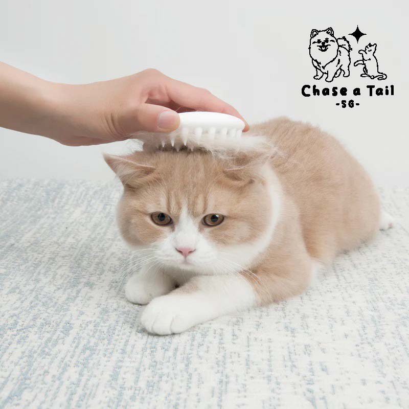 Pet Kit Groom & Glow Pet Massage Comb
