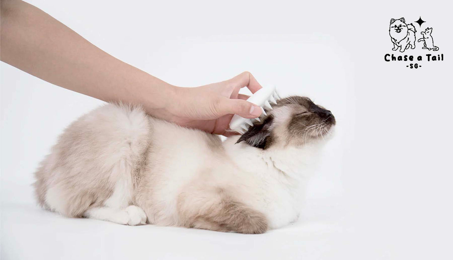 Pet Kit Groom & Glow Pet Massage Comb