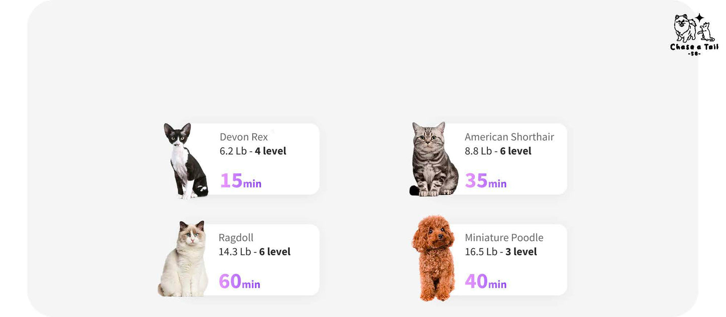 PET KIT Airsalon Max Pro Cats & Dogs' Dryer