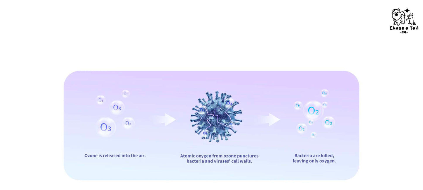 PET KIT Airsalon Max Pro Cats & Dogs' Dryer