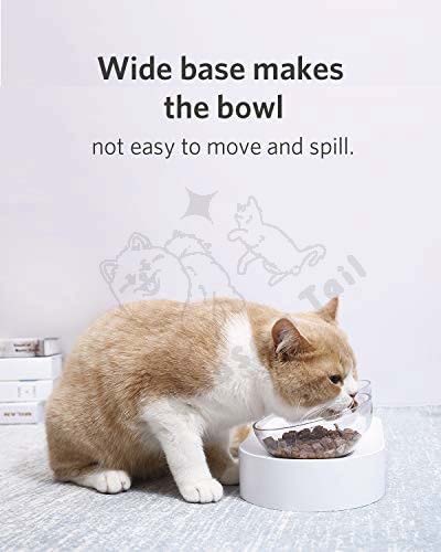 Petkit Ergonomic Elevated Angled Pet Bowl