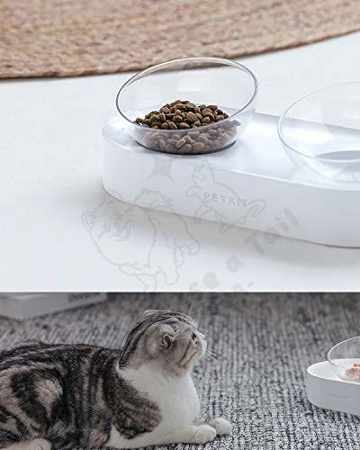 Petkit Ergonomic Elevated Angled Pet Bowl
