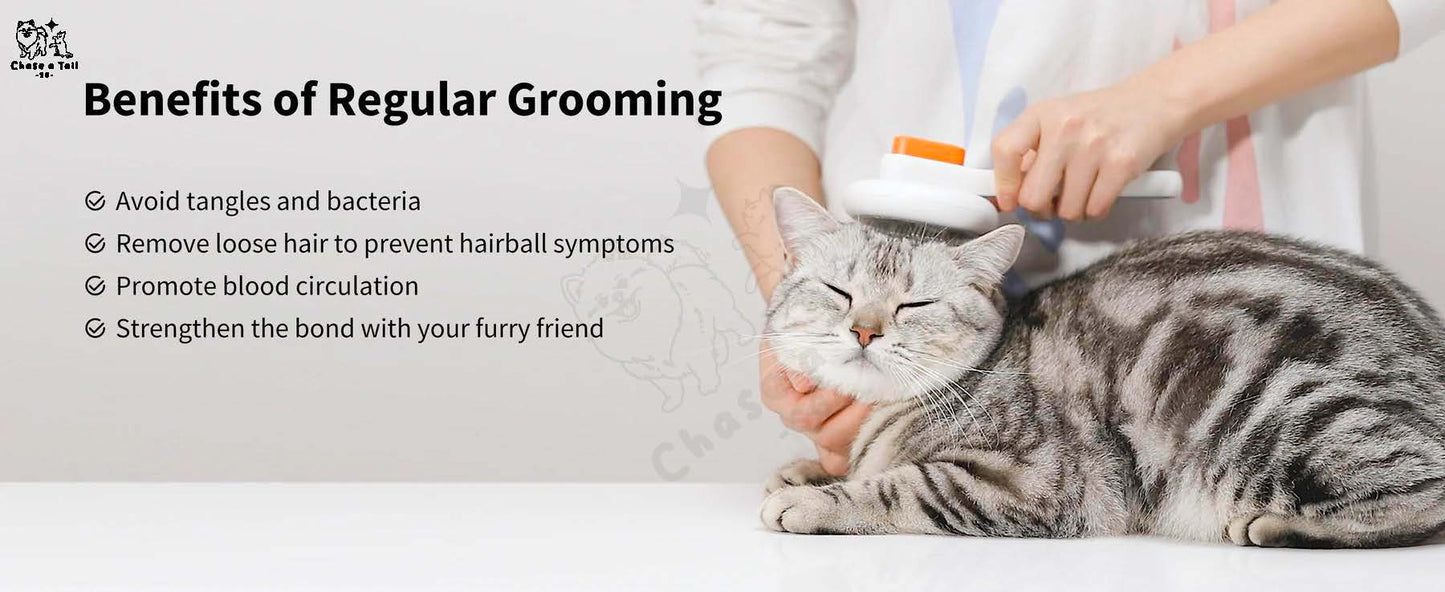 Pet Kit Large Pet Grooming Detangle Brush