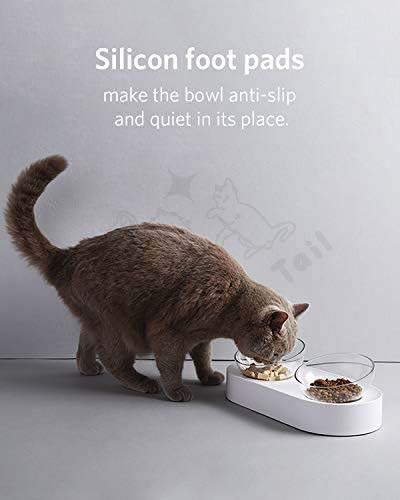 Petkit Ergonomic Elevated Angled Pet Bowl