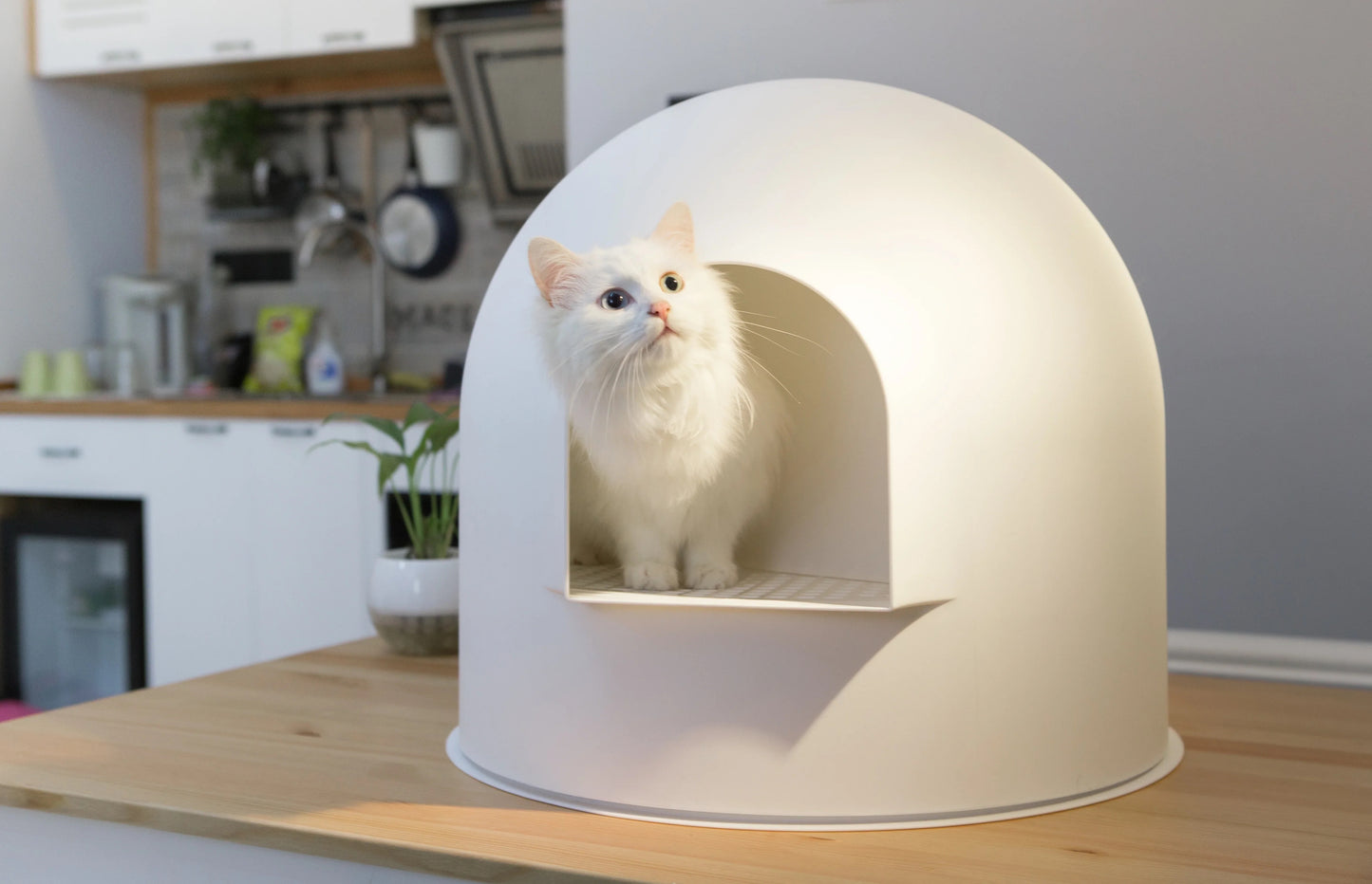 PIDAN Minimalistic Enclosed Igloo Cat Litter Box