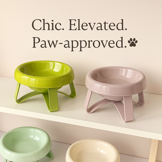 Chase A Tail Ceramic Pet Bowl & Stand — Where Form Meets Function for Your Furry Friend
