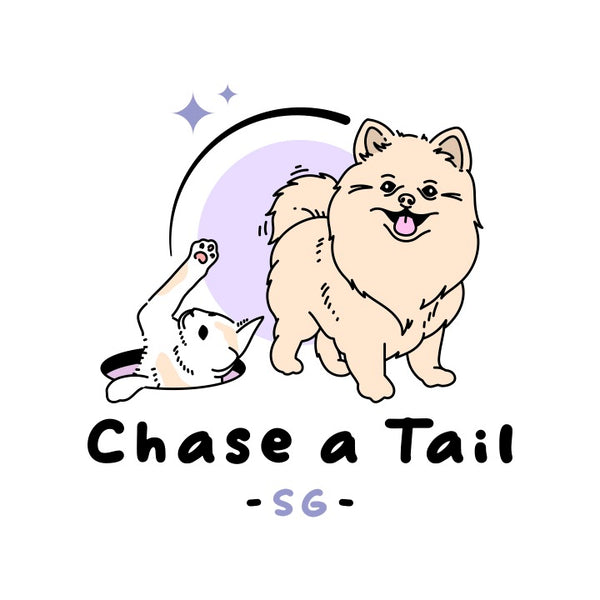 Chase A Tail SG