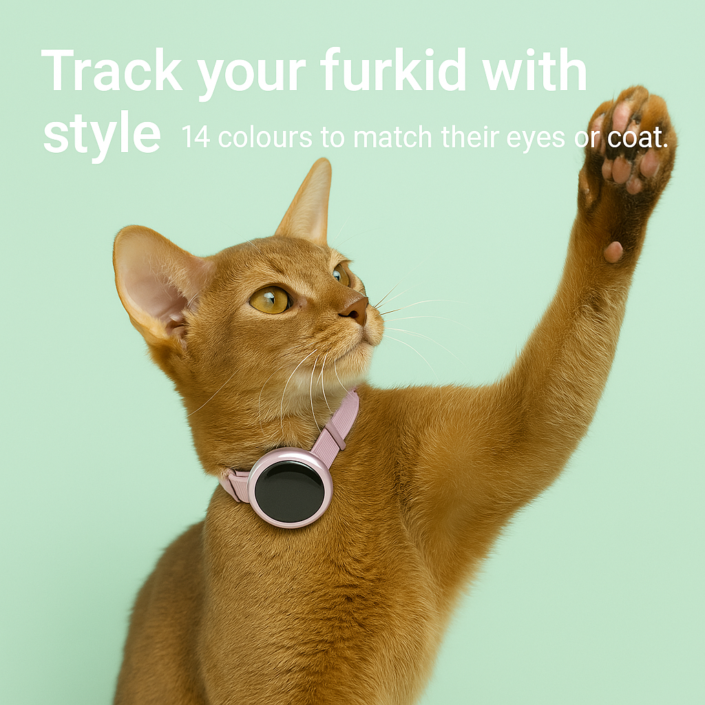 AirTag Collar for Cats – Lightweight, Stylish