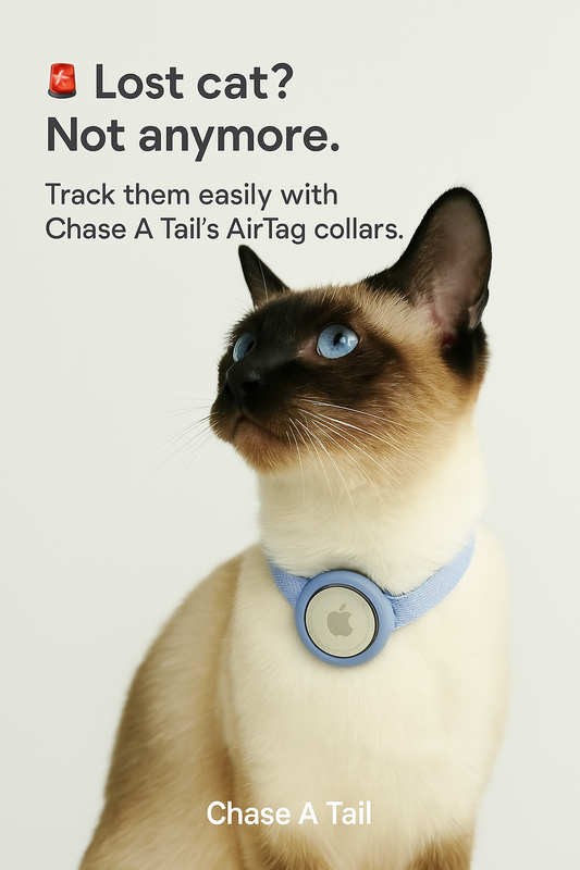 AirTag Collar for Cats – Lightweight, Stylish