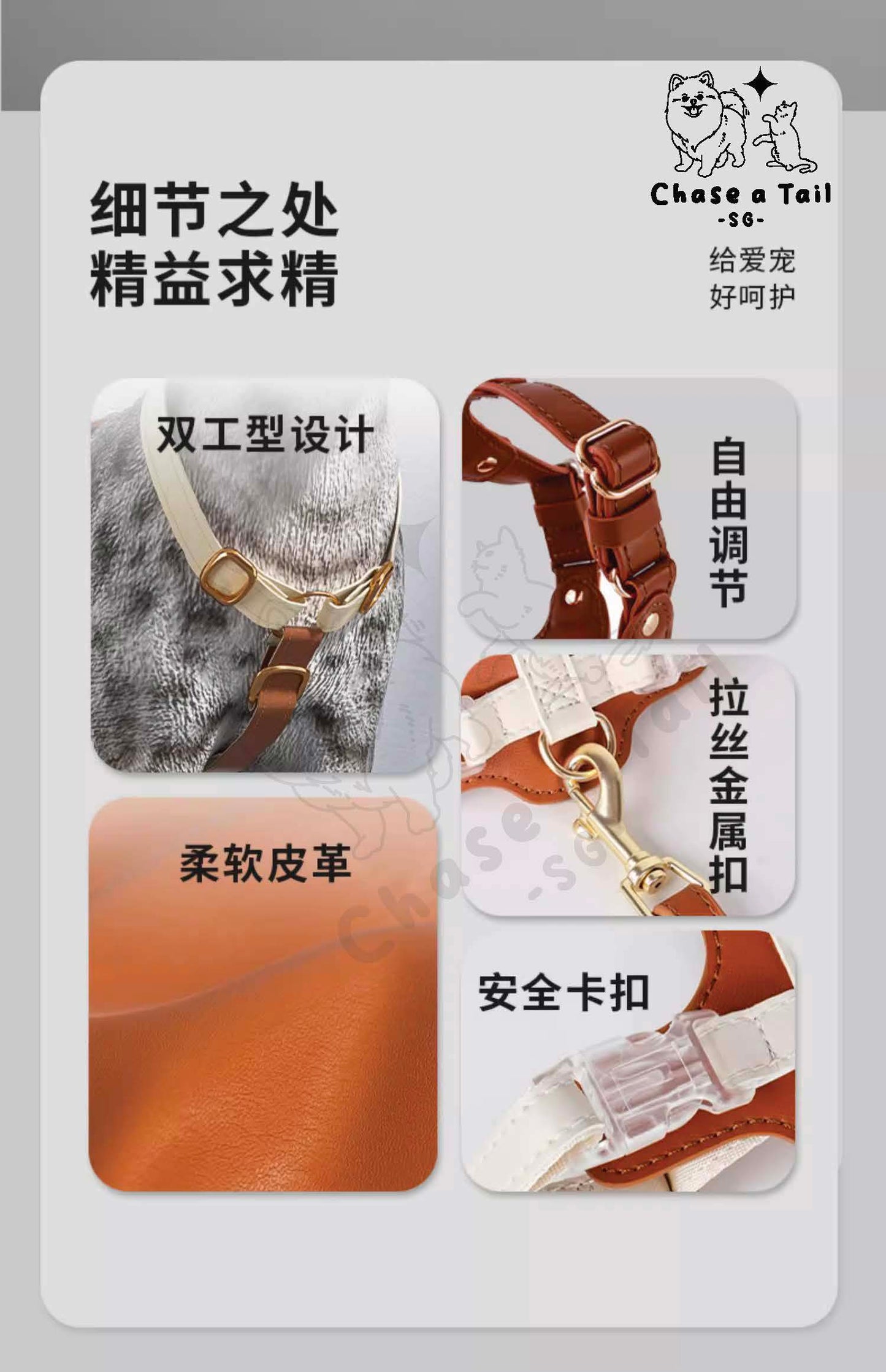 Leather Cat Harness With Leash