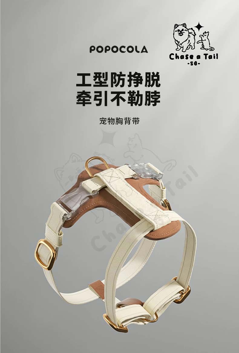 Leather Cat Harness With Leash