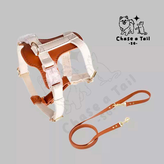 Leather Cat Harness With Leash