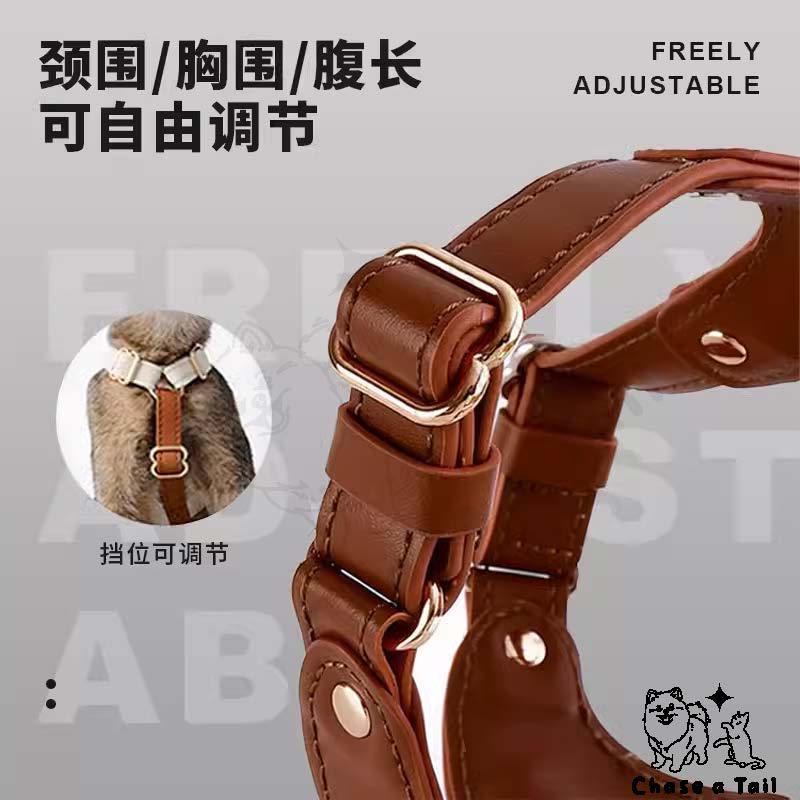 Leather Cat Harness With Leash