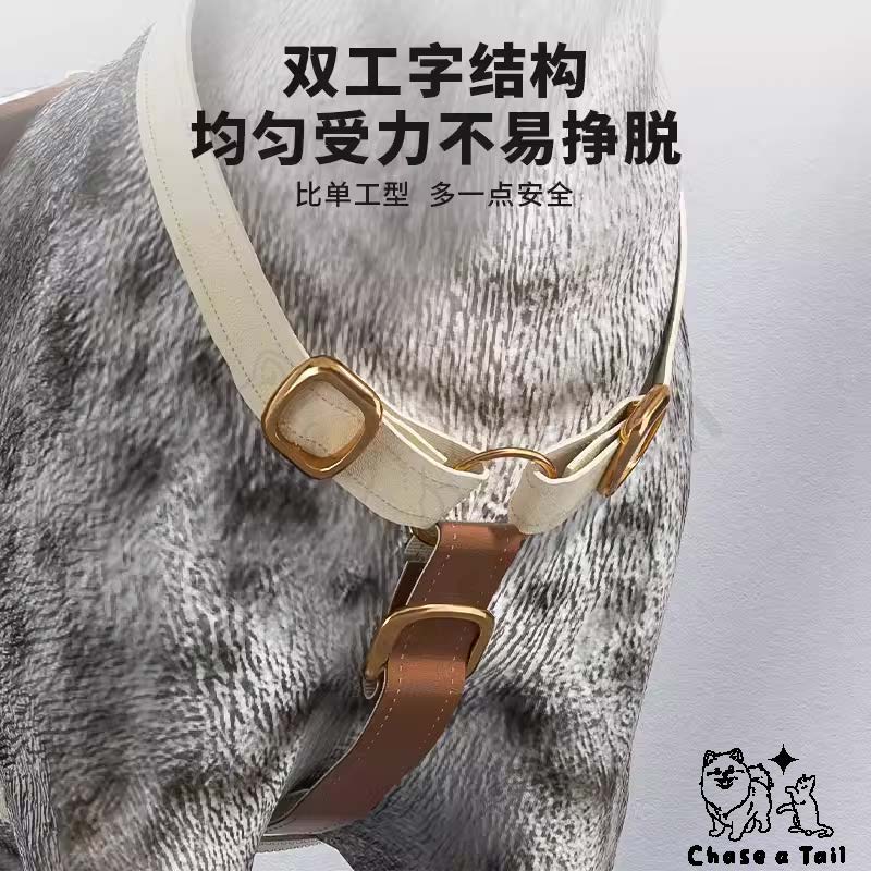 Leather Cat Harness With Leash