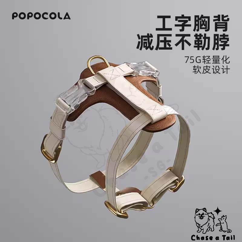 Leather Cat Harness With Leash